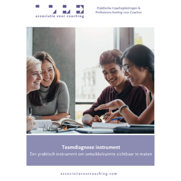 Teamdiagnose instrument